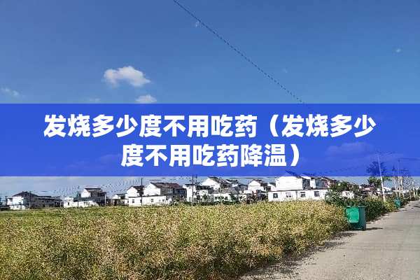 发烧多少度不用吃药（发烧多少度不用吃药降温）