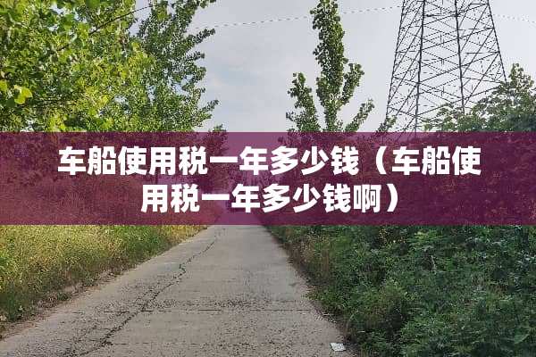 车船使用税一年多少钱（车船使用税一年多少钱啊）