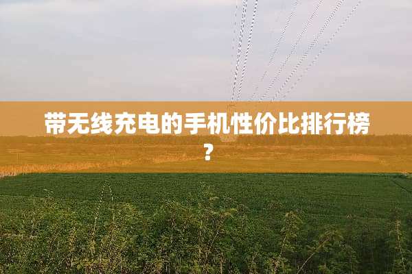 带无线充电的手机性价比排行榜？
