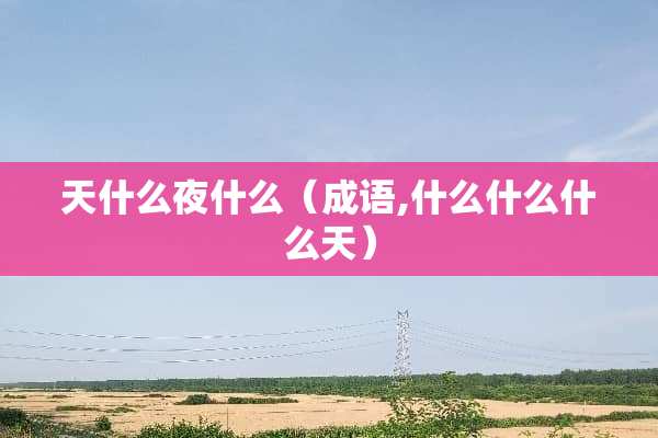 天什么夜什么（成语,什么什么什么天）