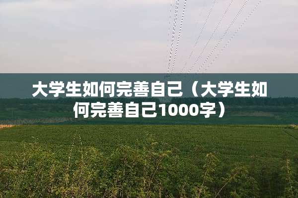 大学生如何完善自己（大学生如何完善自己1000字）