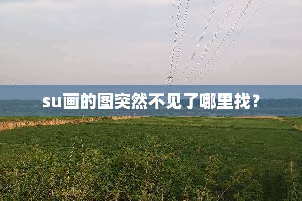 su画的图突然不见了***？