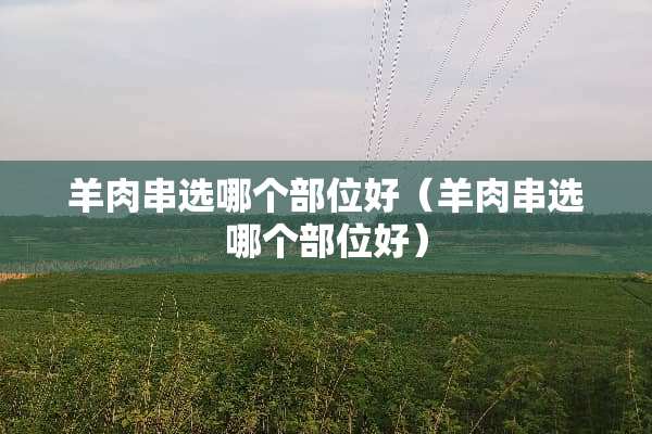 羊肉串选哪个部位好（羊肉串选哪个部位好）