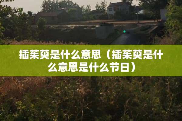 插茱萸是什么意思（插茱萸是什么意思是什么节日）