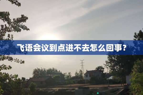 飞语会议到点进不去怎么回事？