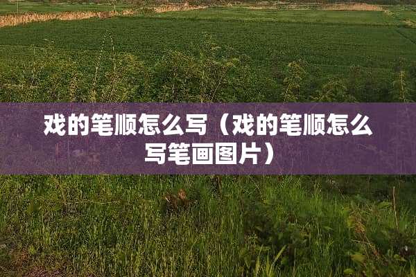 戏的笔顺怎么写（戏的笔顺怎么写笔画图片）