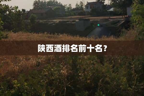 陕西酒排名前十名？