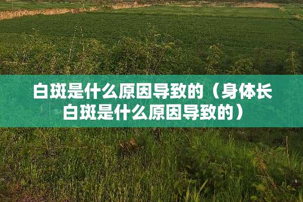 白斑是什么原因导致的（身体长白斑是什么原因导致的）
