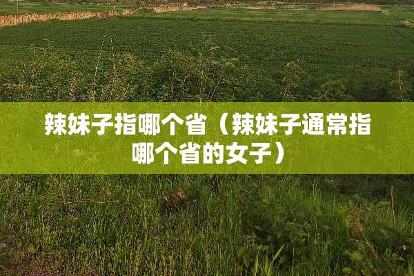 辣妹子指哪个省（辣妹子通常指哪个省的女子）
