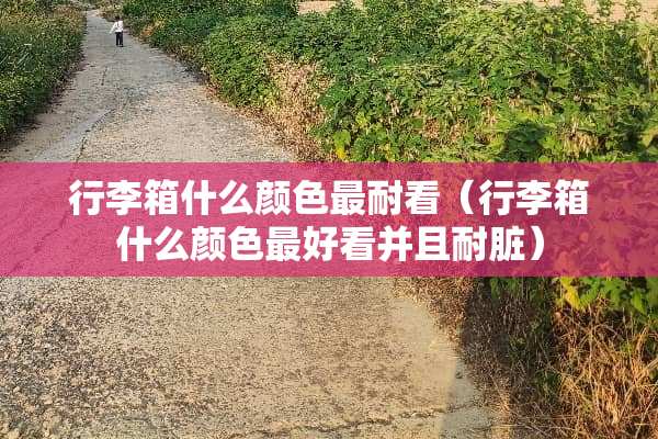 行李箱什么颜色最耐看（行李箱什么颜色最好看并且耐脏）