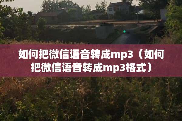 如何把微信语音转成mp3（如何把微信语音转成mp3格式）
