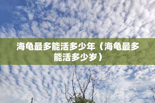 海龟最多能活多少年（海龟最多能活多少岁）
