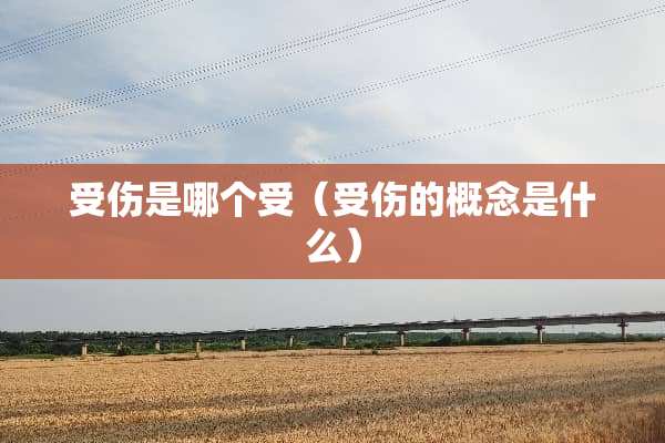 受伤是哪个受（受伤的概念是什么）
