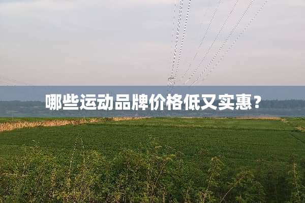 哪些运动品牌价格低又实惠？