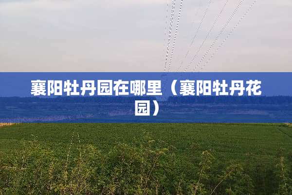 襄阳牡丹园在哪里（襄阳牡丹花园）