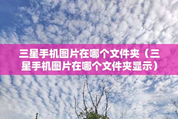 三星手机图片在哪个文件夹（三星手机图片在哪个文件夹显示）