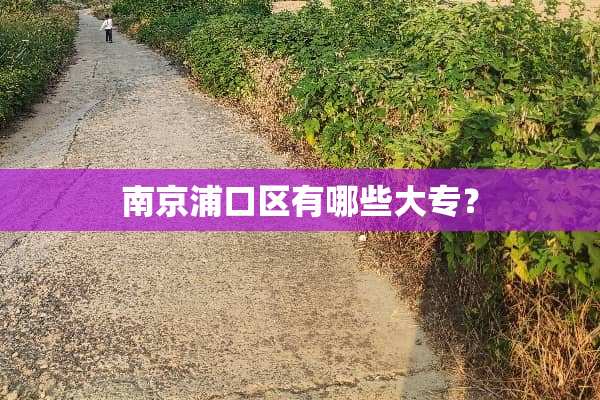 南京浦口区有哪些大专？