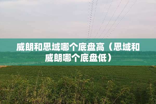 威朗和思域哪个底盘高（思域和威朗哪个底盘低）