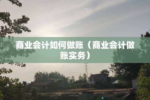 商业会计如何做账（商业会计做账实务）