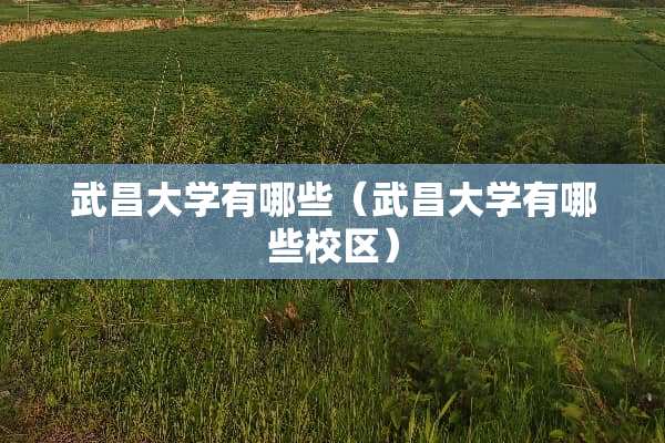 武昌大学有哪些（武昌大学有哪些校区）