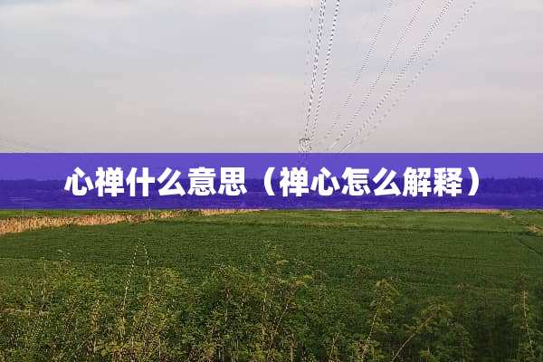 心禅什么意思（禅心怎么解释）