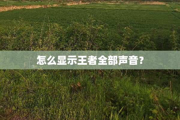 怎么显示王者全部声音？