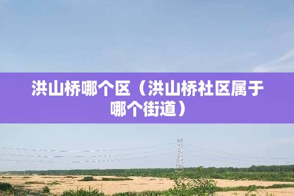 洪山桥哪个区（洪山桥社区属于哪个街道）