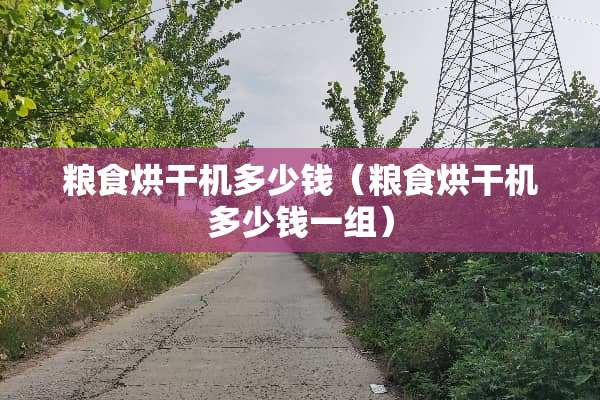 粮食烘干机多少钱（粮食烘干机多少钱一组）