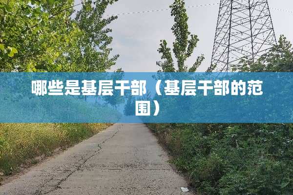 哪些是基层干部（基层干部的范围）