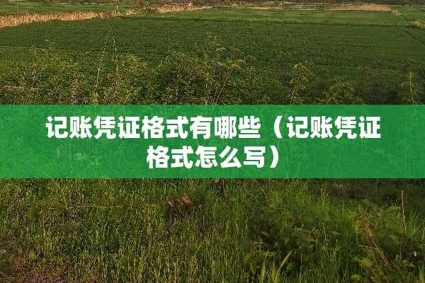 记账凭证格式有哪些（记账凭证格式怎么写）