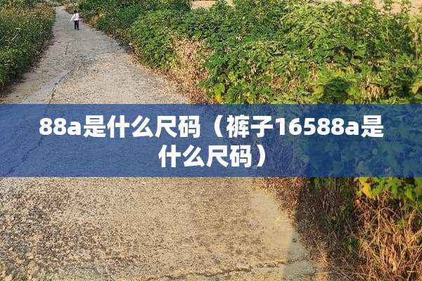 88a是什么尺码（裤子16588a是什么尺码）