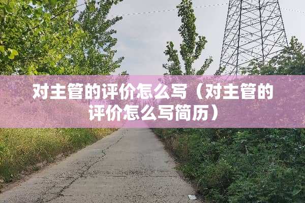 对主管的评价怎么写（对主管的评价怎么写简历）