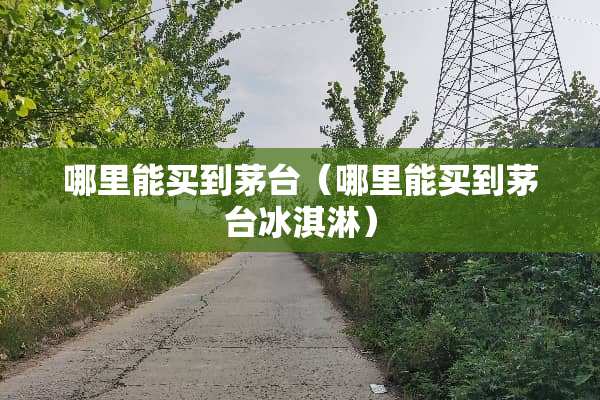 哪里能买到茅台（哪里能买到茅台冰淇淋）