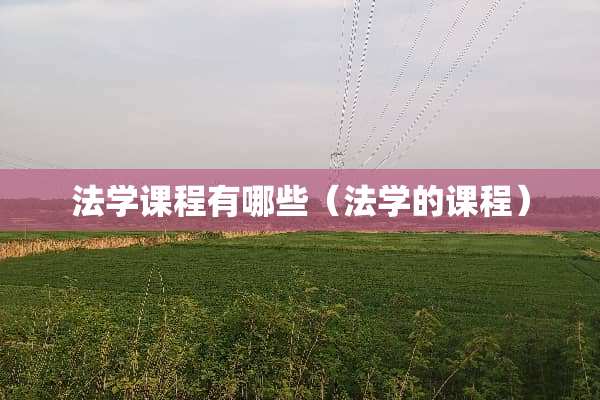 法学课程有哪些（法学的课程）