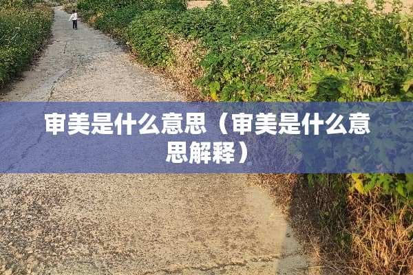 审美是什么意思（审美是什么意思解释）