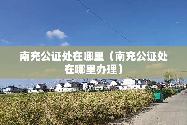 南充公证处在哪里（南充公证处在哪里办理）