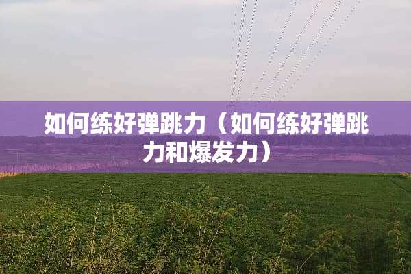 如何练好弹跳力（如何练好弹跳力和爆发力）