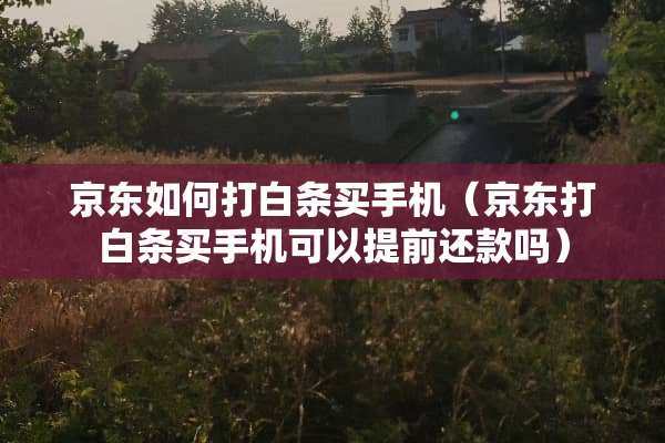 京东如何打白条买手机（京东打白条买手机可以提前还款吗）