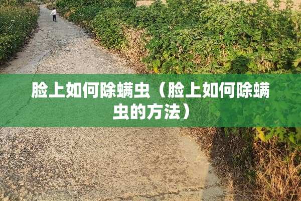 脸上如何除螨虫（脸上如何除螨虫的方法）