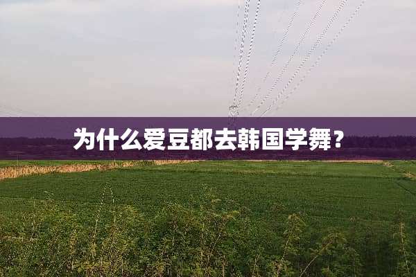 为什么爱豆都去韩国学舞？