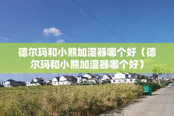 德尔玛和小熊加湿器哪个好（德尔玛和小熊加湿器哪个好）