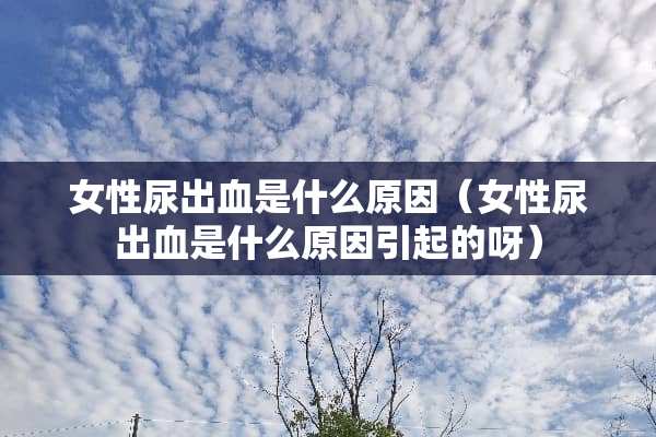 女性尿出血是什么原因（女性尿出血是什么原因引起的呀）