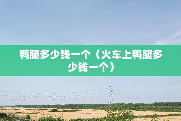 鸭腿多少钱一个（火车上鸭腿多少钱一个）