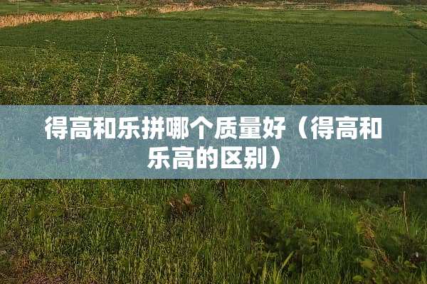 得高和乐拼哪个质量好（得高和乐高的区别）