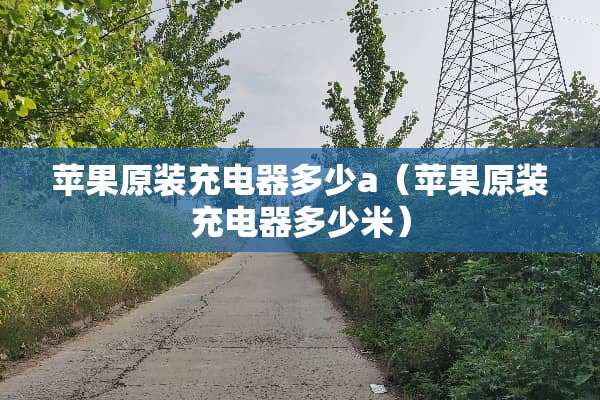 苹果原装充电器多少a（苹果原装充电器多少米）