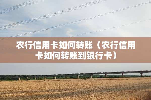 农行***如何转账（农行***如何转账到***）