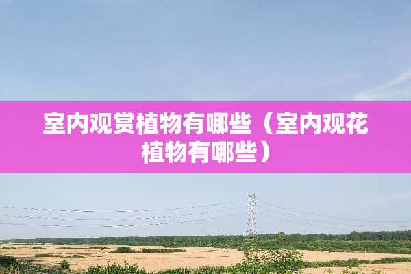室内观赏植物有哪些（室内观花植物有哪些）