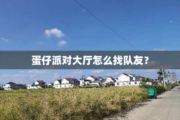 蛋仔派对大厅怎么找队友？