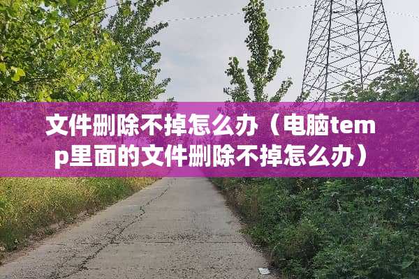 文件删除不掉怎么办（电脑temp里面的文件删除不掉怎么办）