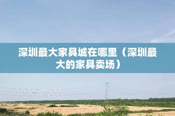 深圳最大家具城在哪里（深圳最大的家具卖场）